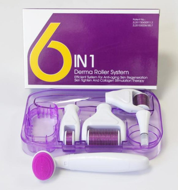 6 in 1 Derma Roller Microneedle Kits For Multiple Skin Care Rejuvenation Treatment Needles Microdermabrasion Roller.