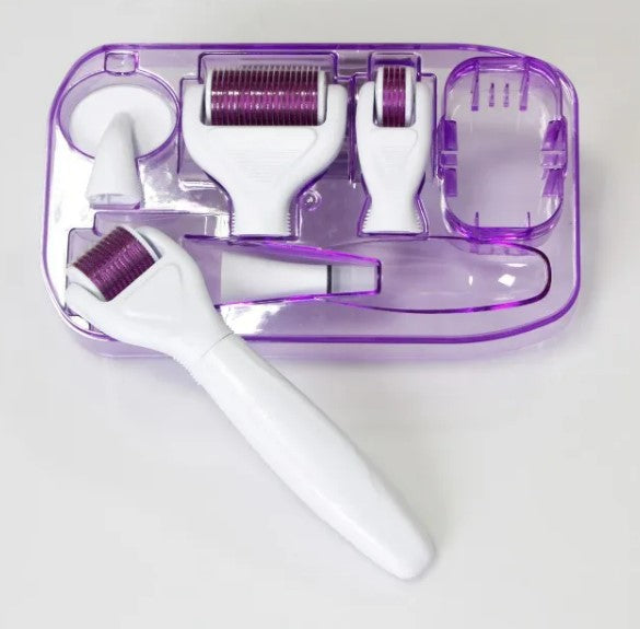 6 in 1 Derma Roller Microneedle Kits For Multiple Skin Care Rejuvenation Treatment Needles Microdermabrasion Roller.